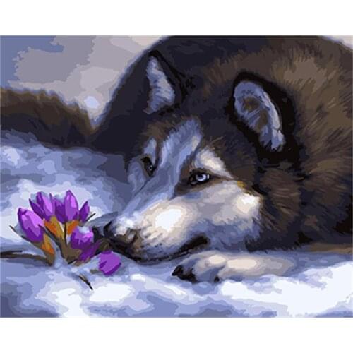 DRAWJOY Framed Wall Pictures DIY Painting By Numbers Home Decor Hand Painted Oil On Canvas Of Animal Wall Art