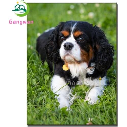 Cavalier King Charles Spaniel new 5d diy Cross stitch embroidery set 3d Diamond painting kit mosaic full drill square rhinestone