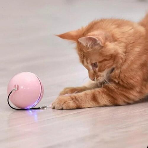 Electric Pet Cat Dog Colorful LED Rolling Flash Ball With Bell Feather USB Rechargeable Pet Ball Toy