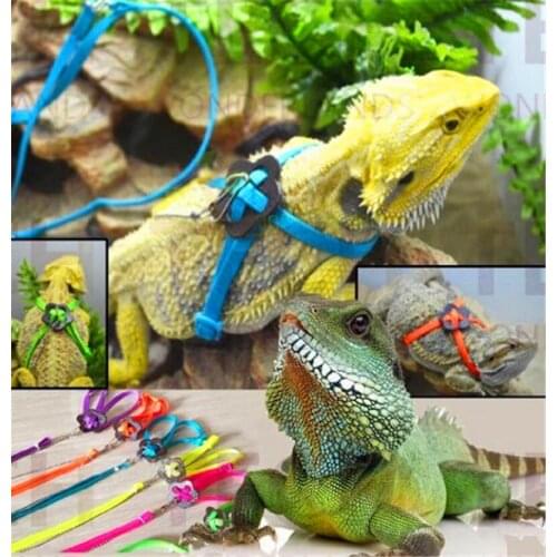 120cm Reptile Lizard Harness & Leash Adjustable Multicolor Durable Soft Fashion