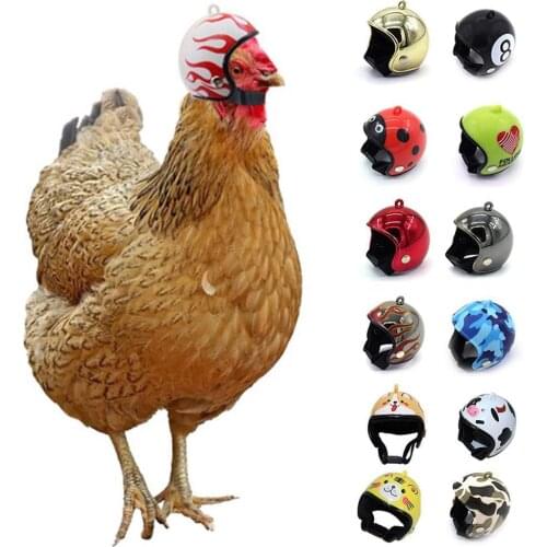 Chicken Helmet Small Pet Hard Hat Bird Duck Quail Hat Headgear Pet Chicken Helmet Birds Head Helmet Pet Supplies 1 Pcs