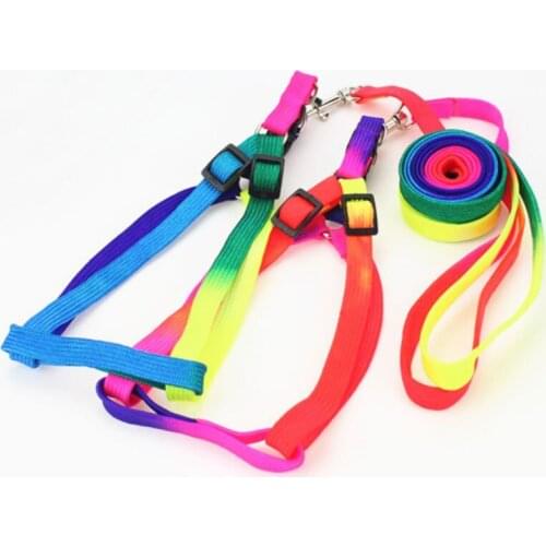 Nylon Rainbow Pet Leashes with Collar/Harness Together Pet Dog Cat Leashes Leads 10sets/lot Wholesale