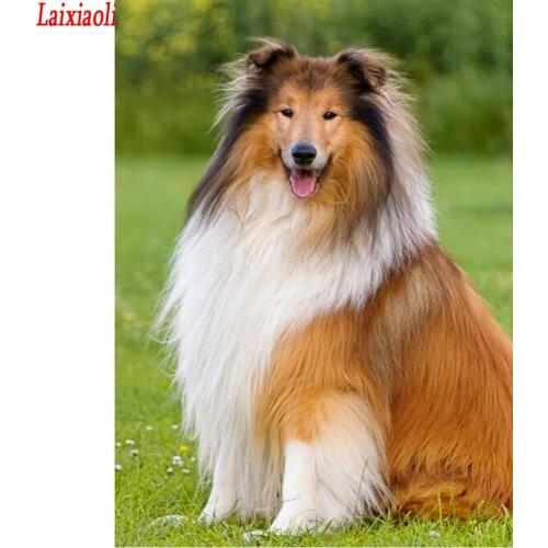 Diamond embroidery Mosaic Collie dog picture DIY Diamond Painting Cross Stitch cute pet full drill square rhinestone home decor