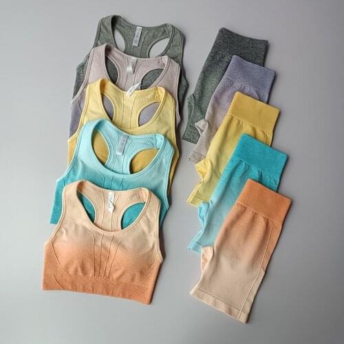 Professional Fitness Exercise Suit Womens Tracksuit Summer Fast Dry Running Training Elastic Shorts Leggings Two Piece Yoga Set