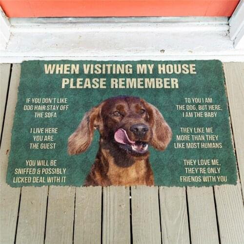 Please Remember Irish Setters House Rule Doormat Decor Print Animal Dog Floor Door Mat Non-Slip 3D Soft Flannel Custom Carpet