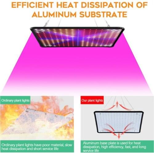 2021 New LED Grow Light Full Spectrum Lamp Led Plant Light Bulb Greenhouses Indoor Phyto Lamp Grow Tent US EU UK AU Plug
