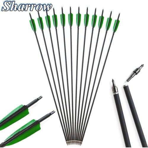 32inch Carbon Arrows Spine 500 Turkish Feathers 100 Grain Can Be Replaced Arrowhead ID6.2mm OD7.8mm Bow and Arrow Hunting Shoot