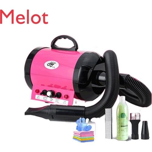2 Color EU Plug Pet Dryer Blower Adjustable Dog Grooming Dryer Pet Hair Dryer Strong-Power Low Noice Blower with 3 nozzles