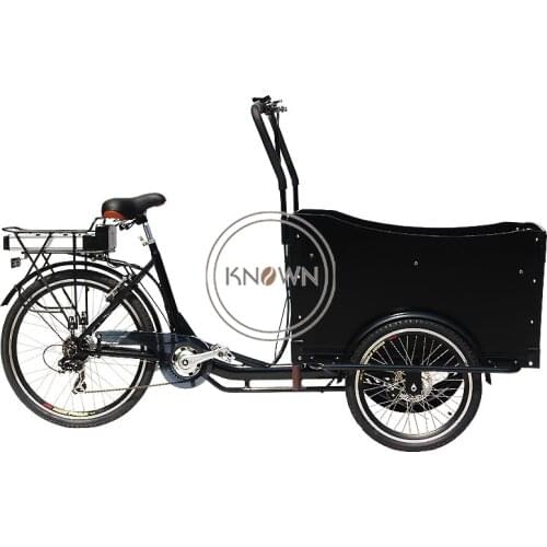 Various Color Hot Sale Pedal Electric Food Tricycle Cargo Bike Carry Children Bicycl Cart Customizable