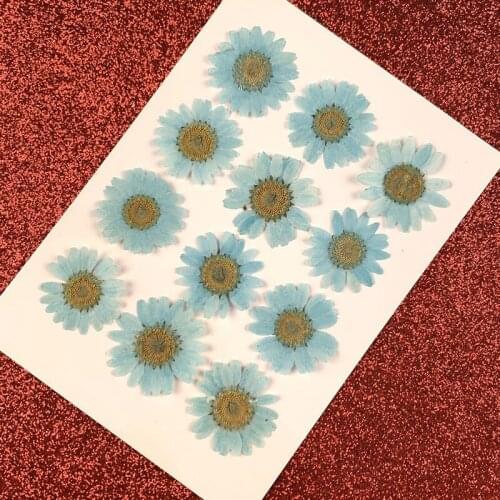 12pcs Pressed Flowers Dried Flowers Artificial Daisys Flowers For Nail Art Jewelry Making Embossing Epoxy Resin Home GQ