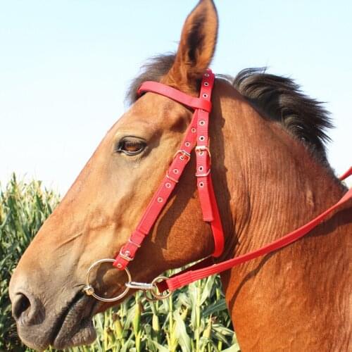 Shui Lema bit horse pommel harness full set of bridle fork equestrian bridle