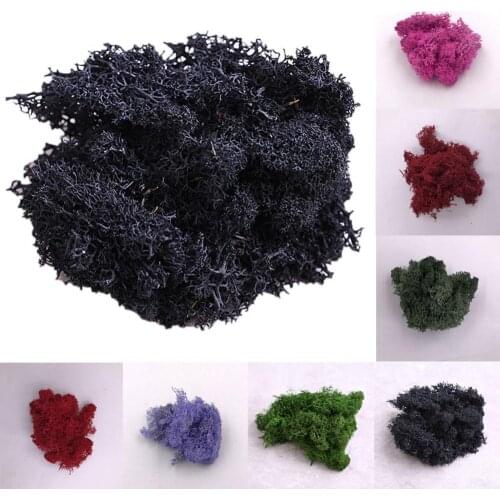 Artificial Plant Preserved Flower Reindeer Moss DIY Craft Garden Home Decor