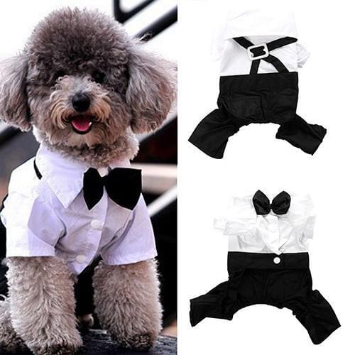 New Fashion Pet Dog Clothes Prince Bow Tie Suit Puppy Costume Jumpsuit Coat S-XXL