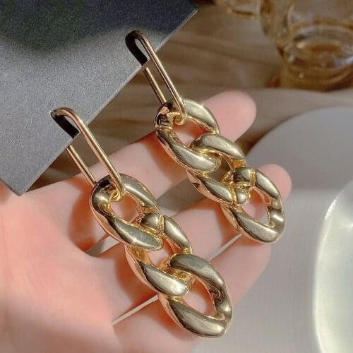 2021 new European and American metal thick chain earrings, long net celebrity exaggerated earrings, a pair of earrings