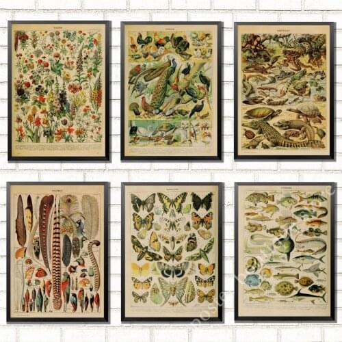 Birds Dinosaur Vegetable Educational Identification Background Pattern Posters Wall Stickers For Living Room Home Decoration