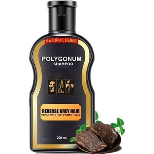200ml Polygonum Multiflorum Hair Loss Treatment Shampoo Hair Care Shampoo Bar Ginger Hair Growth Cinnamon Anti-hair Loss Shampoo