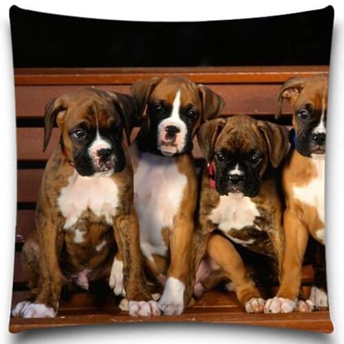 Five little dogs sitting on the chair Pillows Case Cotton Polyester for Sofa Car Cotton Cushion Cover Creative Decoration