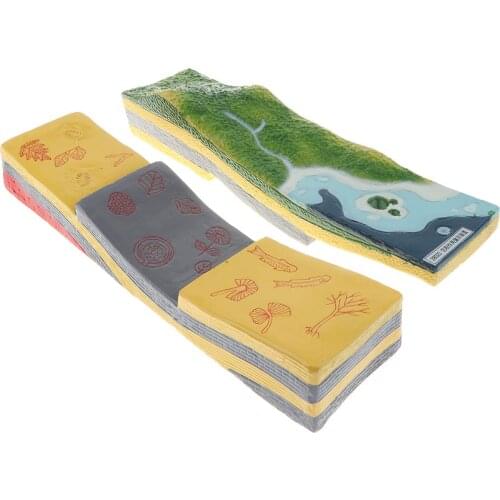 3D Geographical Tectonic Plate Model Scientific Sedimentation Model for School Teaching Material Learning Display
