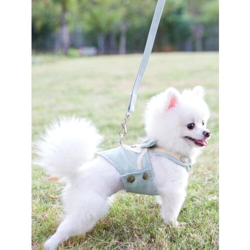 Summer New Breathable Lattice Pet Chest Strap Vest-style Dog Chest Strap Dog Rope Pet Supplies Accessories Decoration