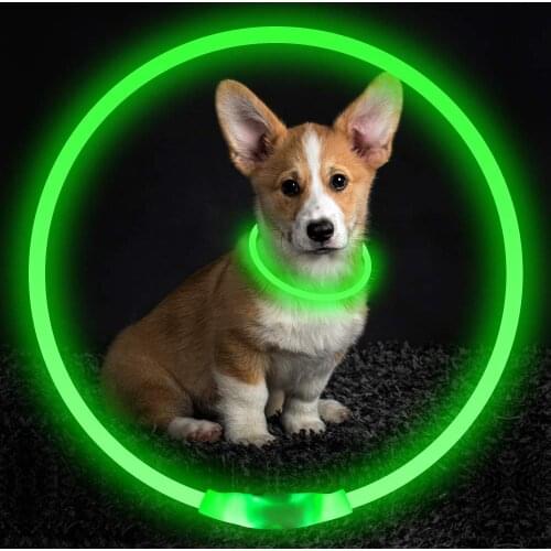 Pet Dog Led Collar USB Rechargeable Glowing Flashing Dog Necklace Pet Safety Collar Light Up Collars for Night Walking