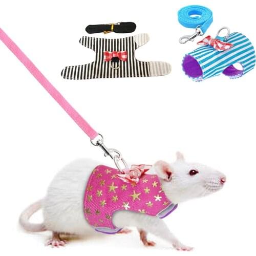 Pet Supplies Small Pet Harness Vest and Leash Set For Ferret Guinea Pig Bunny Hamster Puppy Bowknot Chest Strap Harness