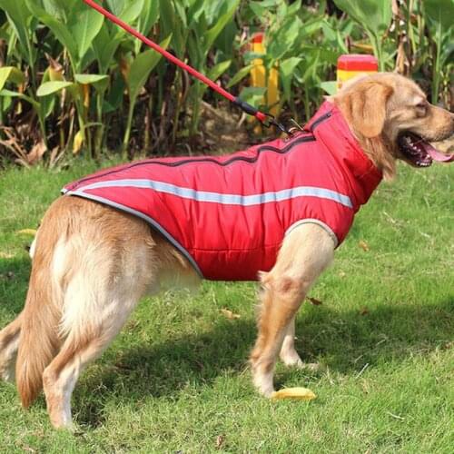 Pet Big Dog Autumn And Winter Thick Outdoor Struck Clothes Cotton Coat