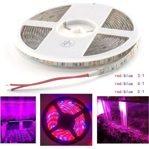 Waterproof Grow LED Strip Light hydroponics system 5 Red 1 Blue lights for Plants lamp DC 12V SMD 5050 1M 2M 3M 4M 5M