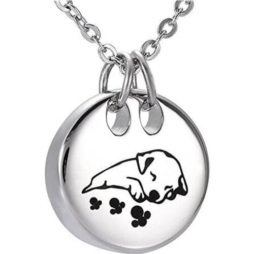 Pet Dog Memorial Urn Locket Cremation Jewelry Stainless Steel Pendant Necklace 2 Colors