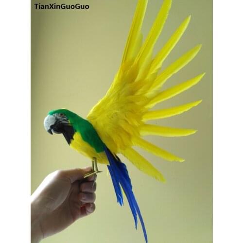 Large 30x50cm simulation bird colourful feathers spreading wings parrot model handicraft home garden Decoration props h0908