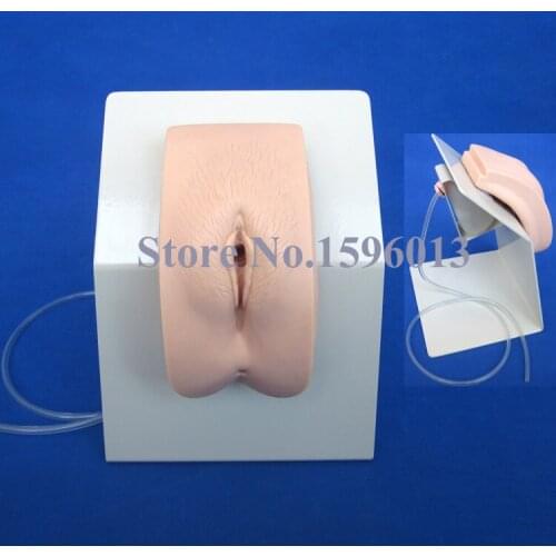 HOT Female Catheterization Training Simulator, Urethral Catheterization Model, Nursing model