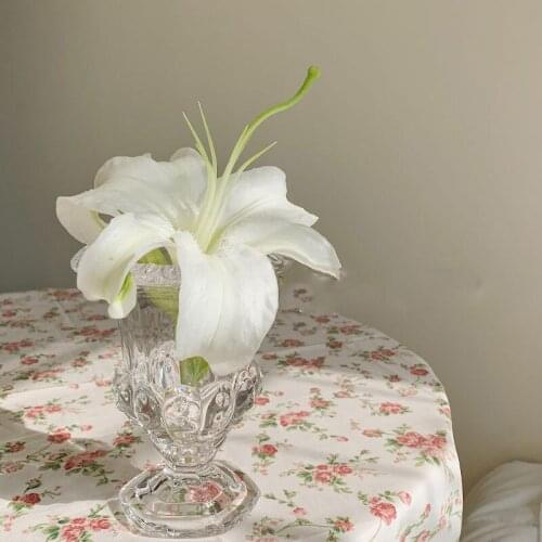 Glass Vases Container Bonsai Decor Arrangement Flower Table Vase Tabletop Plants Decorative Vases