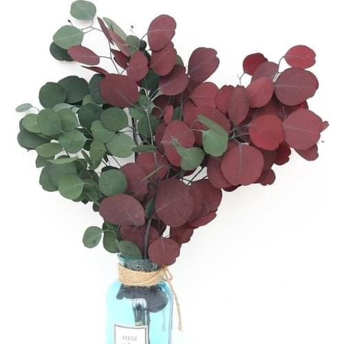 5 Bundles Preserved Fresh Flower Apple Leaf Branch For Flower Arrangement Wedding Christmas Party Home Garden Decoration