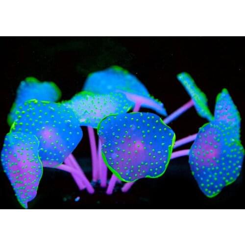 11 Leaves Silicone Glowing Artificial Fish Tank Aquarium Coral Plants Underwater Ornament Fish Tank Aquarium Decor Accessories