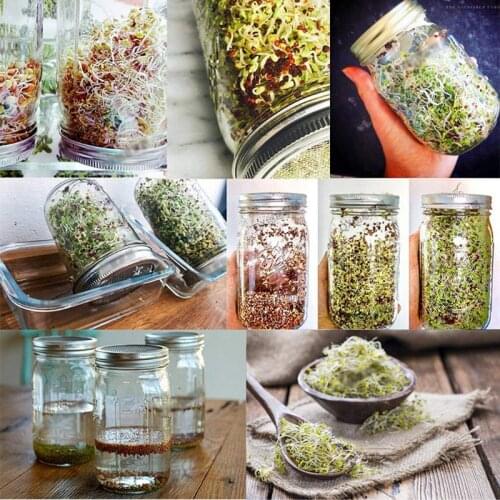 Sprouting Jar with 304 Stainless Steel Screen Lid Wide Mouth Quart Mason Sprouter Germinator for Organic Alfalfa Bean