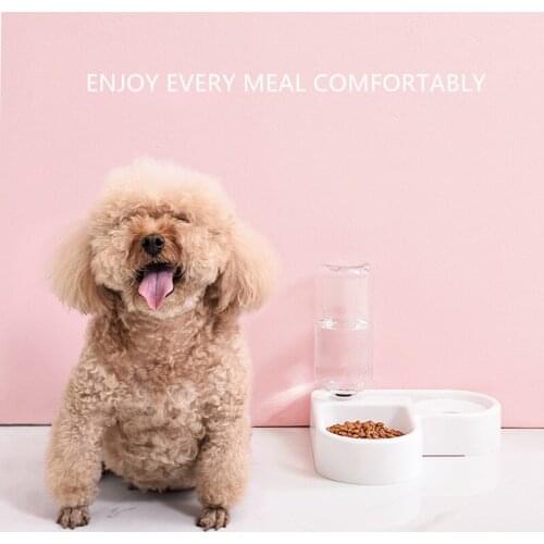 Transparent Pet Dog Feeding Bowl Pet Water Dispenser Cute Dog Bowls Small Dog Food Dispenser Cat Food Bowl Cat Water Dispenser