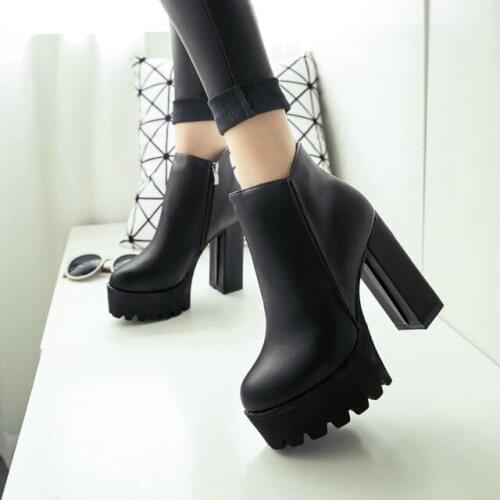 New Womens Fashion Side Zipper Ankle Boots Platform Thick High Heel 12 cm Ladies Boots Winter Woman Shoes 2 style Black boot