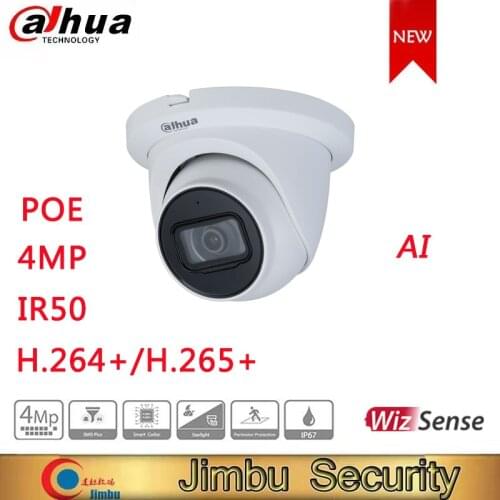 Dahua IP Camera 4MP IPC-HDW3441TM-AS IR Fixed focal Eyeball WizSense Network Camera Face Recognition HD POE IP67 Water proof