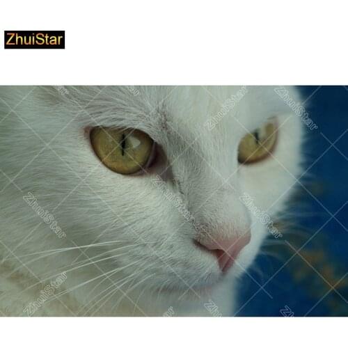 5D Diy diamond painting cross stitch "White Cat" Full Square Diamond embroidery Needlework Rhinestone Mosaic Crafts 113