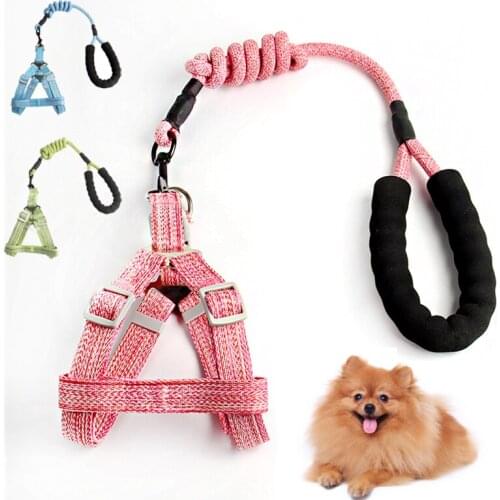 Pet Dog Harness Leash Adjustable Vest Collar Puppy Outdoor Walking Chihuahua Terier Schnauzer Small Medium Dogs Cat Harness
