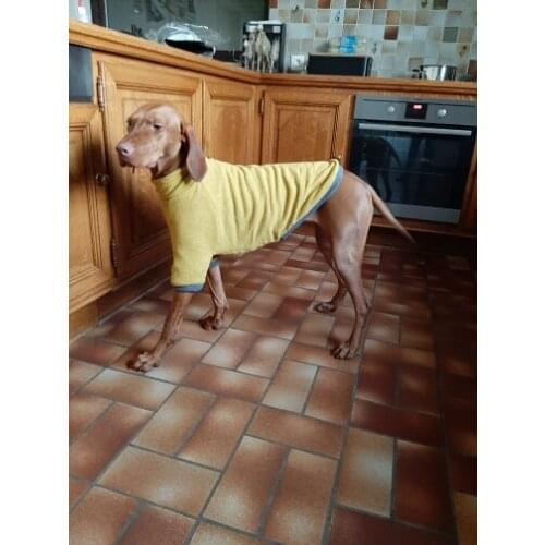 Winter Winter Pet Clothing Small Dog Clothing Plus Velvet Pet Dog Warm Coat High Collar Hoodie