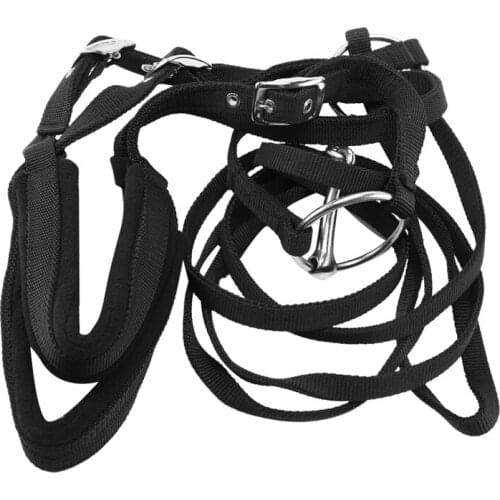 Adjustable Horse Riding Equipment Halter Horse Bridle with Bit and Rein Belt for Horse Equestrian Accessories Soft Thicken Large
