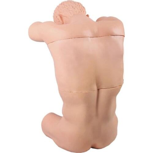 Thoracentesis Training Manikin Patient Care Dummy Nursing Teaching Medical Model