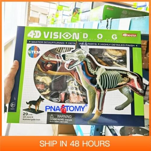 4D MASTER Animal Puzzle Dog Toys Anatomical Models Detachable DIY Children Gifts Canine Educational Tool 26115