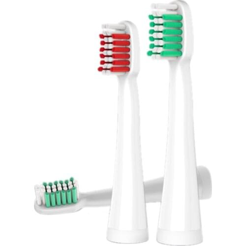 LANSUNG Toothbrush Heads