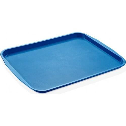 DOLBOVI Gastroplast Blue Color service tray 27*36 cm tray поднос plateau de service