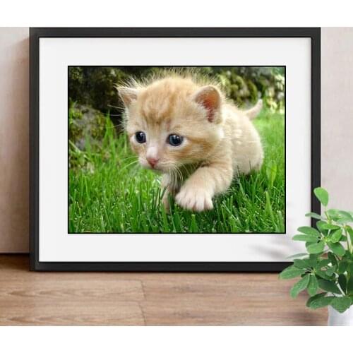 DIY Diamond Mosaic Cat 5D Diamond Painting Cross Stitch Kit Animal Embroidery Full Square rhinestones Home Decor
