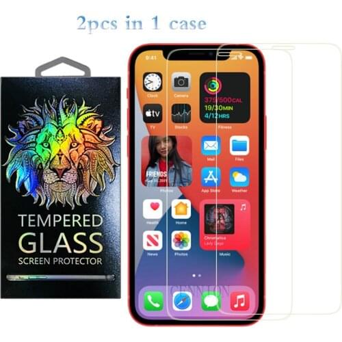 2 in 1 0.3mm 2.5D 9H Tempered Glass Screen Protector for iPhone 12 mini 5.4 6.1 pro max 6.7 inch XR Xs X 8 7 6 200pcs