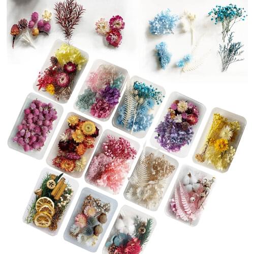 15 Style Real Dried Flower Diy Plants DIY Making Pendant Craft UV Resin Epoxy Mold Filling Supplies For Jewelry Finding