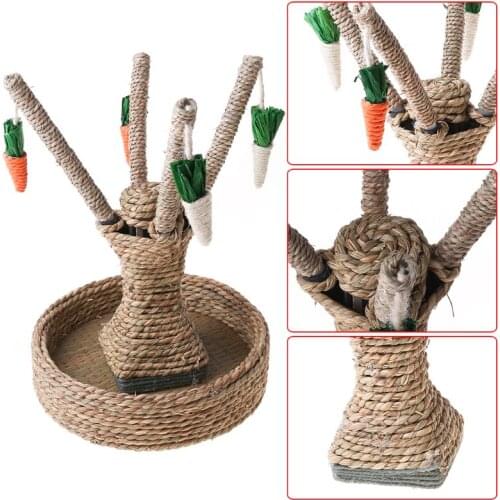Activity Rabbit Toy Fun Carrot Tree Boredom Breaker Rodent Dutch Rat Bite Playing Interaction Lovely Pet Small Animal