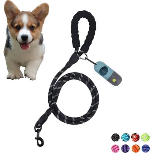 Harness For Dog Harness Nylon Leash Luminous Collar Lead Animal Things For Dogs Accessories Detachable Cat Collar Pet Products